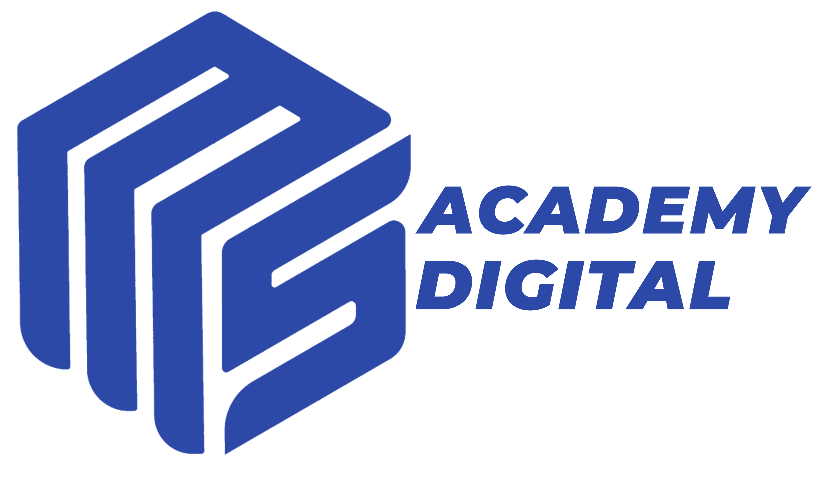 MS Digital Academy